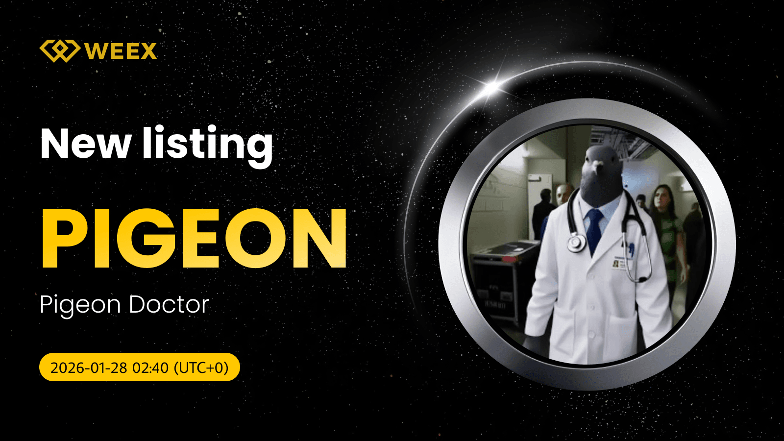 Pigeon Doctor (PIGEON) listada na WEEX com par spot PIGEON USDT