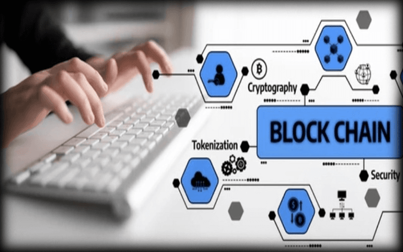Componentes e elementos da Blockchain