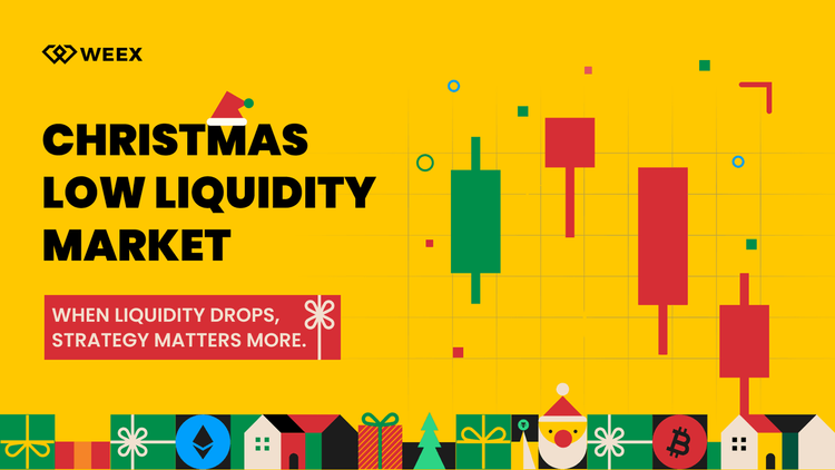 Holiday Season Markets: Understanding Low Liquidity and Trading Conditions
