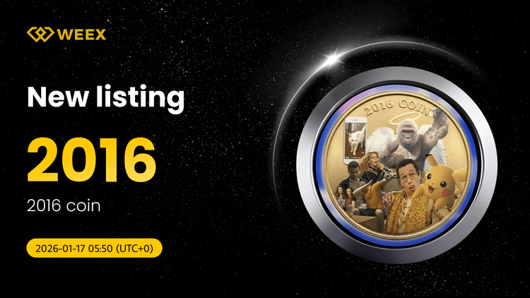 2016 Coin (2016) 上線 WEEX:立即交易 2016/USDT