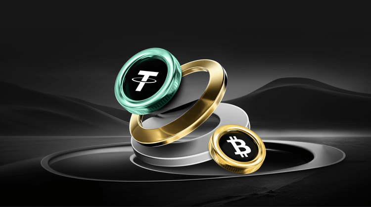 Zcash Predicción de Precios: Apuestas de $16 Millones a una Caída – ¿Está ZEC a Punto de Sufrir un Desplome?