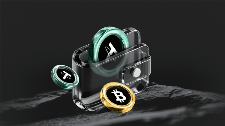 ¿Qué es el Token X MONEY (XMONEY) Coin?