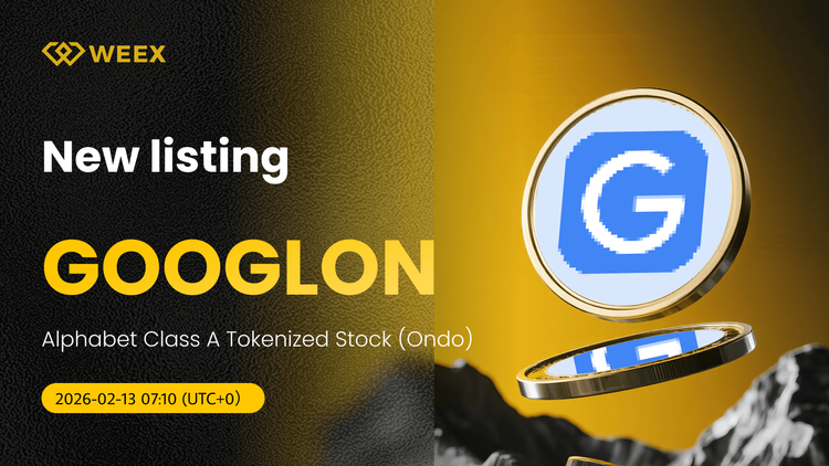 GOOGLON USDT Spot Trading ao vivo na WEEX: Token da Alphabet Classe A