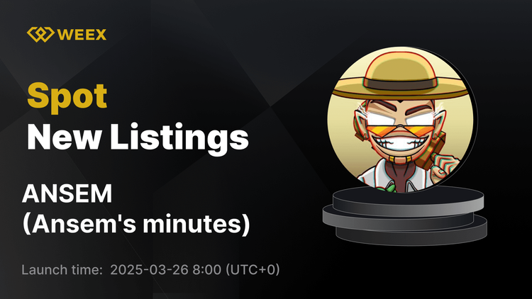 Минуты Ансема (ANSEM) теперь доступны на WEEX с торговлей ANSEM USDT
