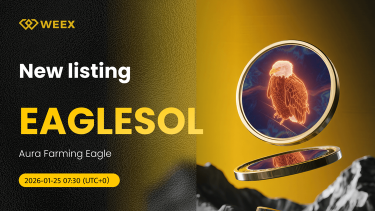 EAGLESOL USDT 現貨交易 實盤在 WEEX:Aura Farming Eagle