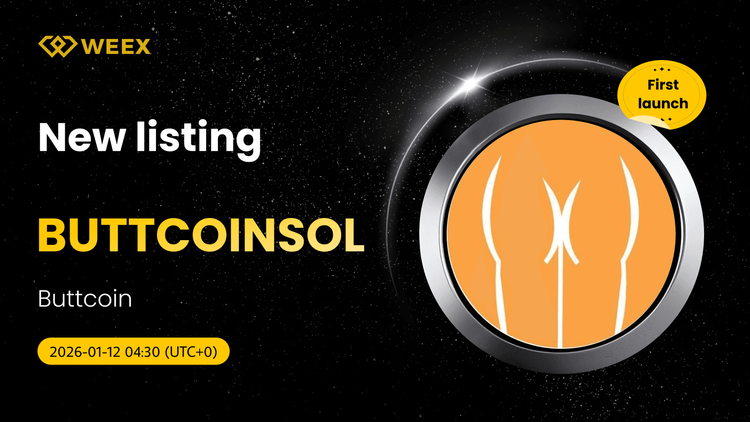 BUTTCOINSOL USDT 立即在WEEX現貨實盤交易
