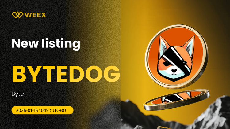 BYTEDOG USDT ya disponible en WEEX Spot: Comercialice Byte Coin