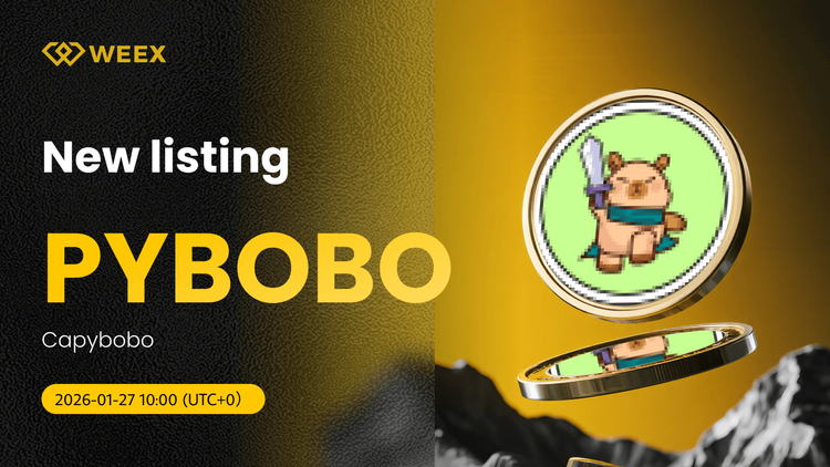 PYBOBO USDT já está disponível: Moeda Capybobo (PYBOBO) listada na WEEX