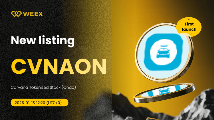 CVNAON USDT現貨交易對已在WEEX交易所上市
