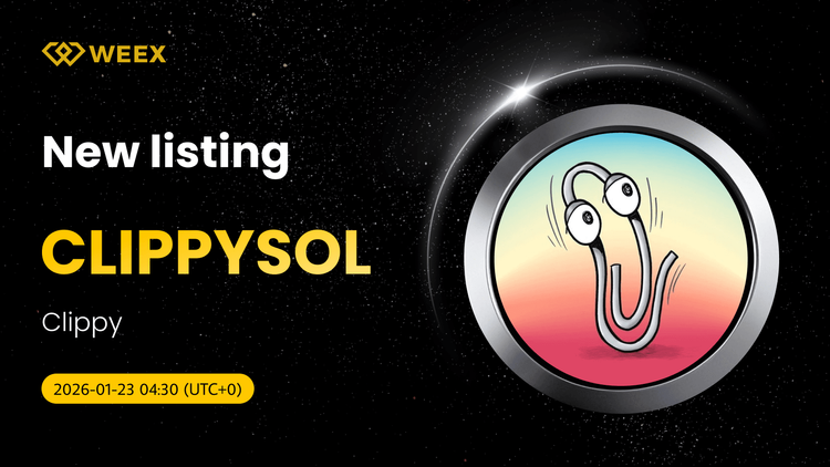 Торговая пара CLIPPYSOL USDT котируется на бирже WEEX Spot.