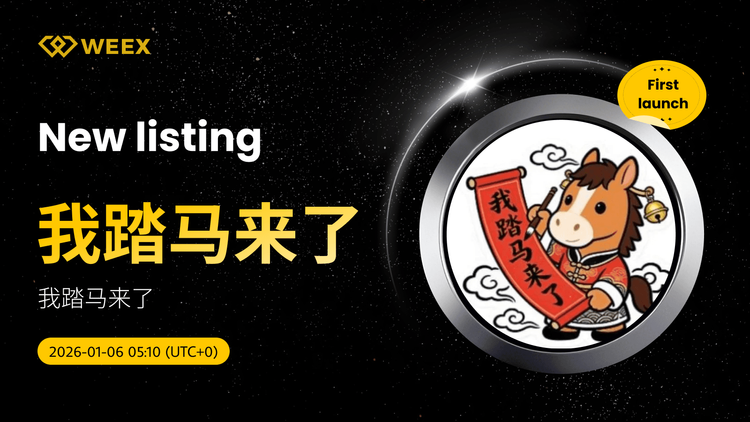我踏馬來了硬幣現上市於WEEX現貨