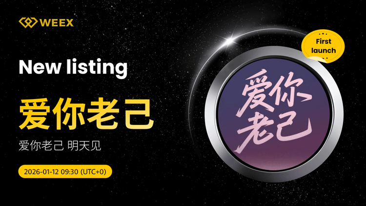 爱你老己 USDT Spot Trading: Love You Older Self Listing on WEEX Spot