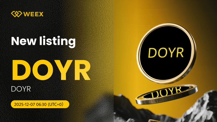 DOYR USDT Spot Trading Pair получает листинг на WEEX Exchange