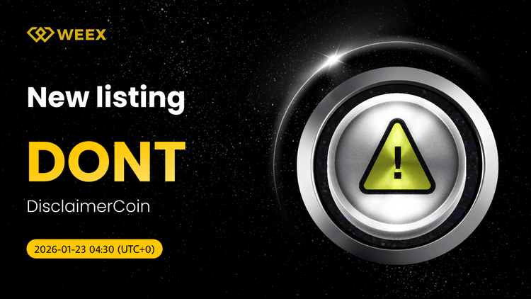 Trading Spot DONT/USDT: DisclaimerCoin (DONT) listada na WEEX