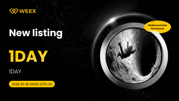 Эксклюзивный листинг 1DAY USDT: Торгуйте 1DAY Coin на WEEX
