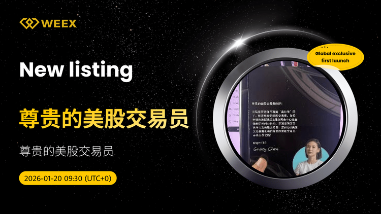 全球獨家首發：尊貴的美股交易員USDT交易上線WEEX交易所