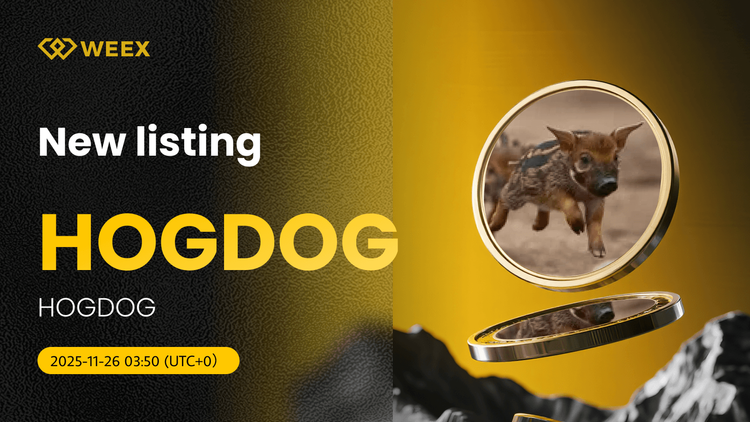 HOGDOG USDT Spot Trading Pair Gets Listing on WEEX