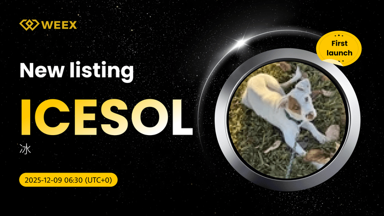 ICESOL USDT 上線 WEEX 現貨交易