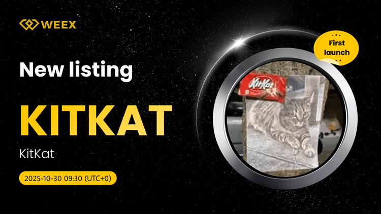 KITKAT USDT доступен: WEEX добавляет монету KitKat (KITKAT)