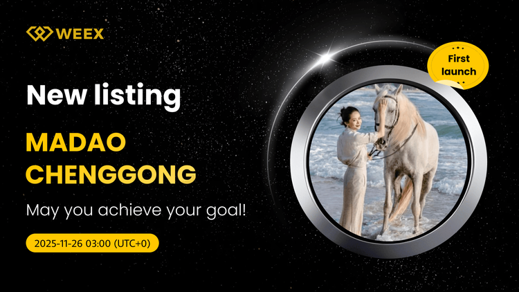 MADAOCHENGGONG USDT Spot Trading Pair котируется на бирже WEEX
