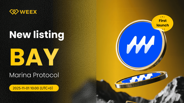 Торговля BAY USDT открыта: WEEX добавляет монету Marina Protocol (BAY)