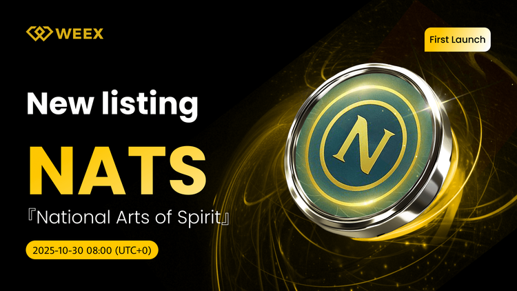 NATS USDT Listing: Монета национального духовного искусства (NATS) на WEEX