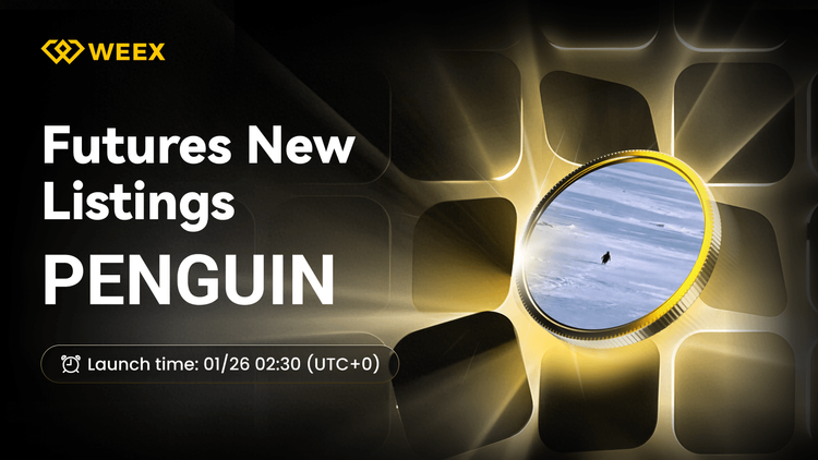 PENGUIN USDT Perpetual Contract listado em WEEX Futures