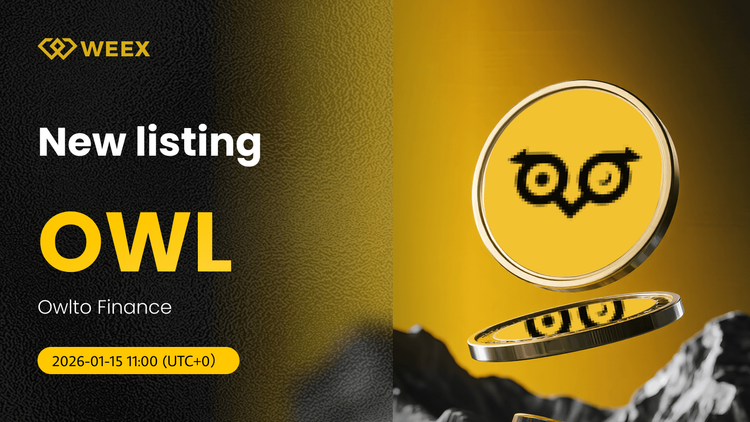 OWL USDT ao vivo: Owlto Finance listada na bolsa WEEX
