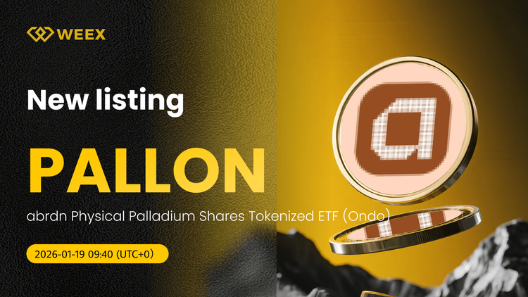 Negociação ao vivo do PALLON USDT: Compre PALLON Coin na WEEX Spot