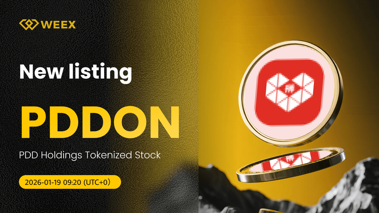 PDDON USDT já disponível: Ação Tokenizada da PDD Holdings na WEEX Spot