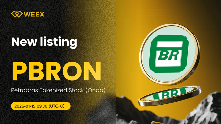 Negociação de PBRON/USDT: Ações tokenizadas da Petrobras no mercado à vista da WEEX