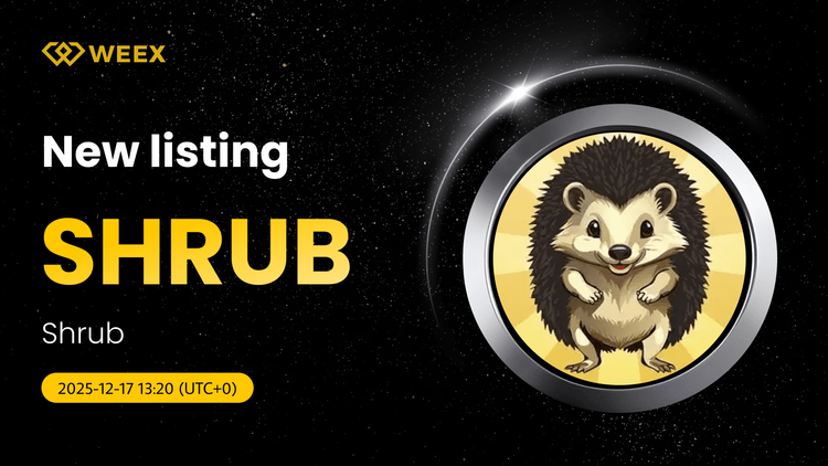 SHRUB USDT Pair Live: Кустарниковая монета котируется на WEEX