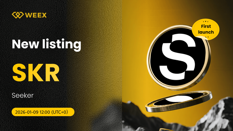 SKR USDT 現在可用: 在WEEX現貨上市的探索者硬幣