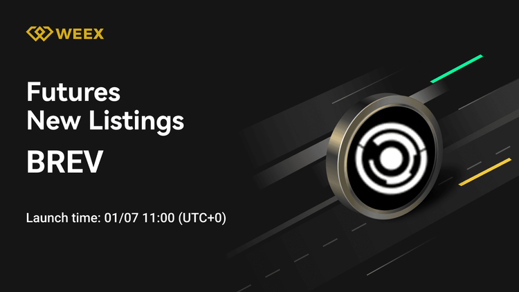 WEEX合約列表： BREV USDT 永久合約
