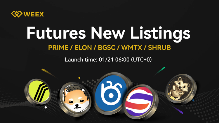 Shrub (SHRUB) ya cotiza en WEEX - SHRUB USDT ¡Par de operaciones en directo!