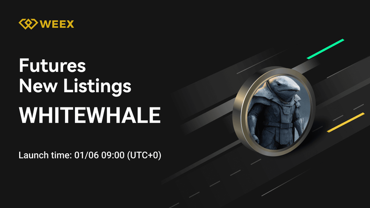 白鯨 USDT: WEEX期合約推出永久合約