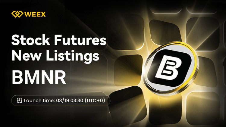 WEEX Futures Listas BMNRon USDT Contrato Perpetual