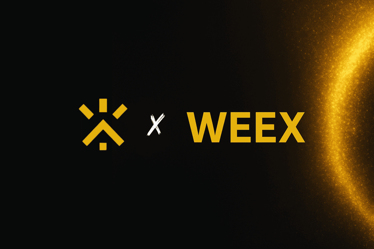 Secure Your Free Crypto Education: How to Get the €6,200 Course as a Gift | WEEX