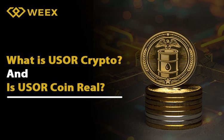 USOR: Entre a Realidade e a Ficção