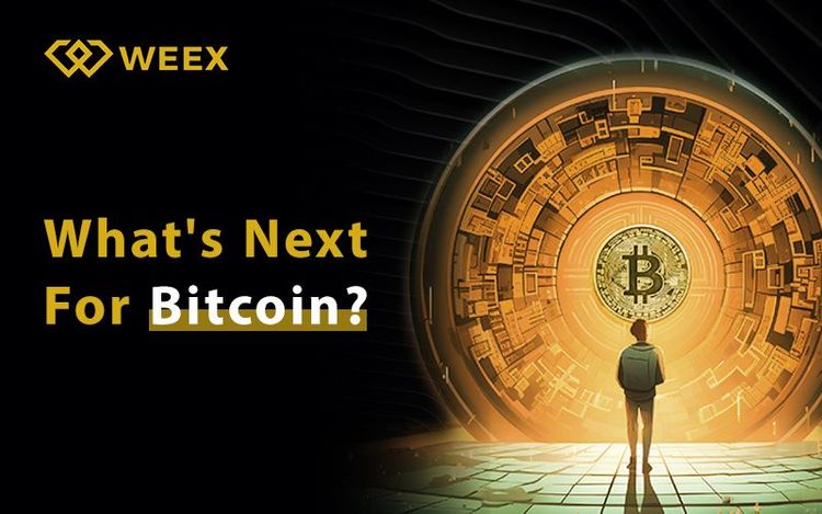 Каково будущее Биткоина?
