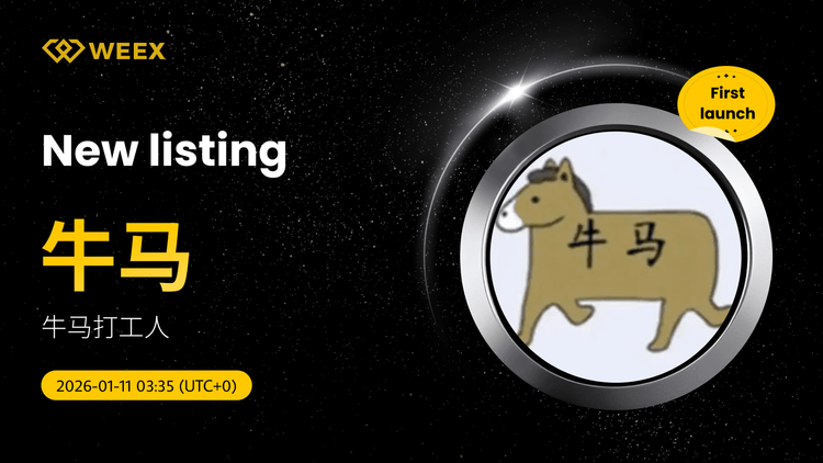 牛馬USDT交易: WEEX上的牛馬(牛馬)硬幣列表
