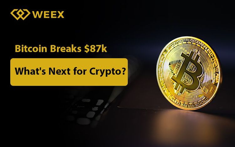 Цена Биткоина превысила $87 000: какое будущее ждет криптовалюты?