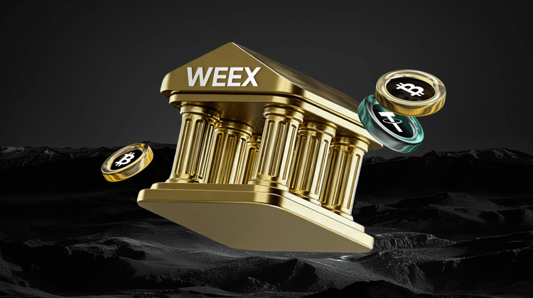 WEEX vs Outras Bolsas de Valores: Comparação de Liquidez e Taxas de 2026 - Qual é a Melhor?